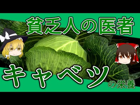 野菜のキャベツ:ビタミン豊富なパワー野菜に関する興味深い事実 植物