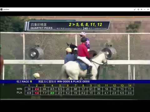 2021 02 14 沙田 第十一場 潘頓 足金好球