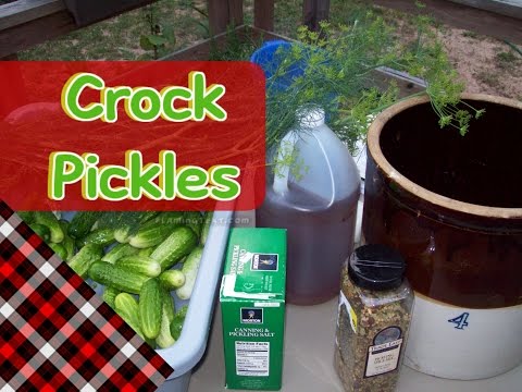 Fermented Crock Pickles