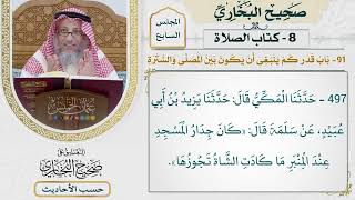 [497] حديث: كان جدار المسجد عند المنبر ما كادت الشاة تجوزها [كتاب الصلاة]