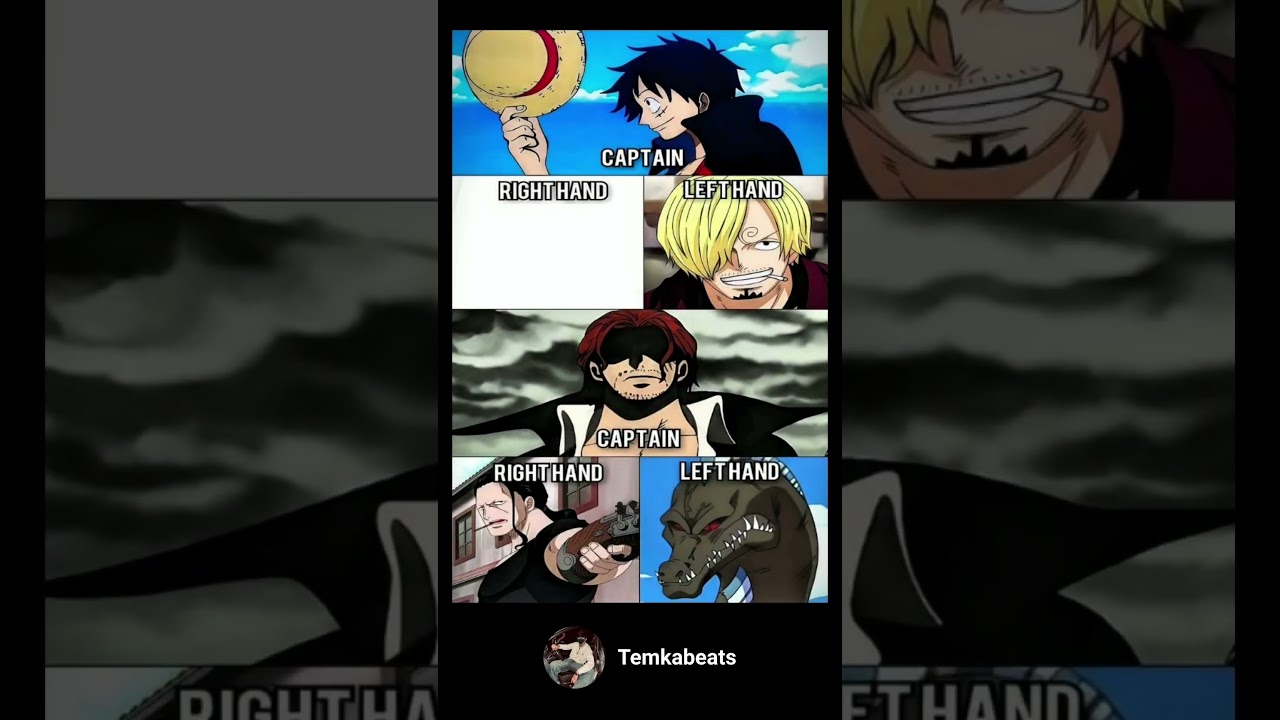 The Future Pirate Kings and their Wings