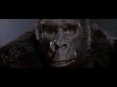 25. Birth of Baby Kong; Death of Kong (King Kong Lives 1986) Soundtrack