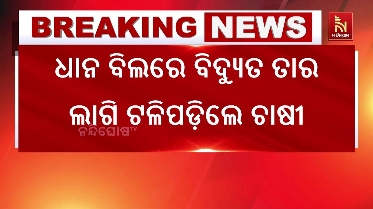 ଧାନ ବିଲରେ ବିଦ୍ୟୁତ ତାର ଲାଗି ଟଳିପଡିଲେ ଚାଷୀ