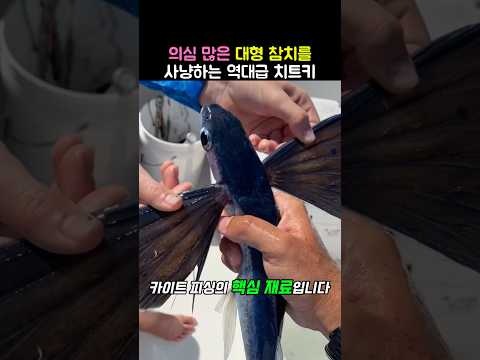 대형 참치 낚시의 역대급 치트키