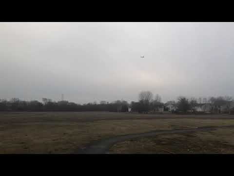 Ft simple cub maiden