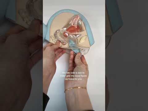 How to Insert Hello Disc | Quick Demo #shorts