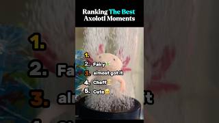 Download lagu Ranking The Best Axolotl Moments mp3 Download lagu Ranking The Best Axolotl Moments mp3