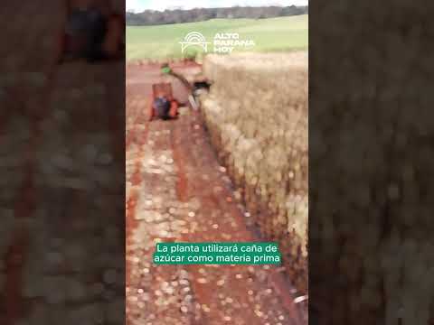 En Yguazú invertirán USD 90 millones en fábrica de etanol.#TuFuenteDeInformación