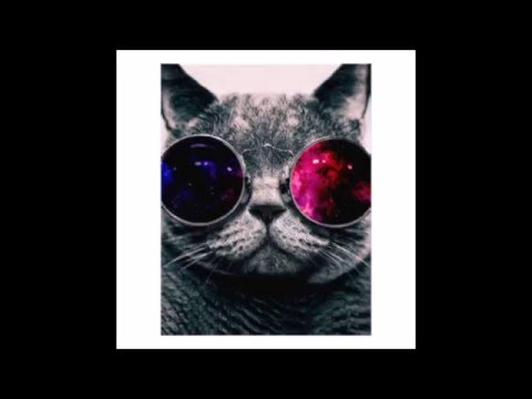 MIND CR@ZED-Mashup:World in Our Hands X Space jungle X Milestone