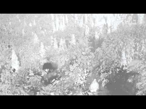 冬の八甲田山 - 樹氷とロープウェー - 0776A