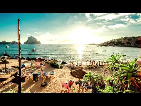 Dj Danie - Summerdreams (Alternate High Remix)