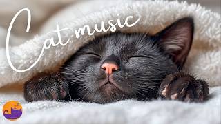 12 HOURS of Calming Relief Music for Cats - Soothing Songs for All Breeds 🐱