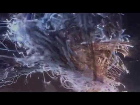 Marc Et Claude (Excellent sound)