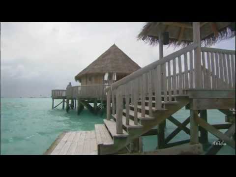 Myk Bee - Mistaken (Digitalis Dream Mix) [Music Video] [Tranceflo]