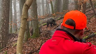 ACHTUNG SAUEN auf 5 Meter - Drückjagd im Schwarzdorn Komplex (Copterpro Jagd)