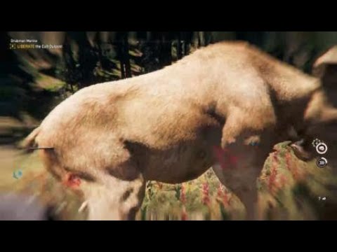 Far Cry 5 Moose Hunting