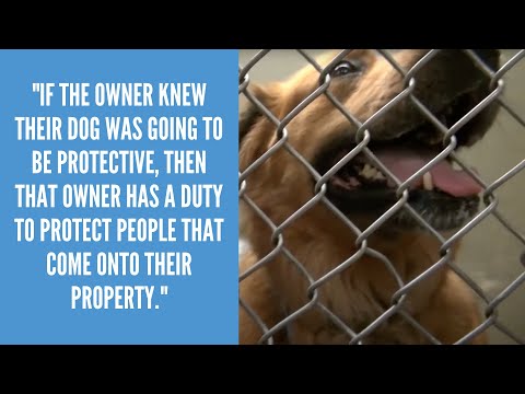 What is Virginia's One Free Bite Rule?