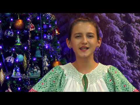 Andreea Lazarescu - Cucule mare dușman