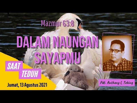 Saat Teduh: Mazmur 63:8, Dalam Naungan SayapNya