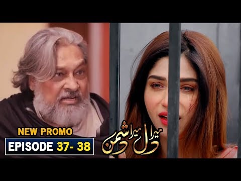 Mera Dil Mera Dushman Episode 38 Promo | Upcoming Episode Teaser | Ary Digital Drama