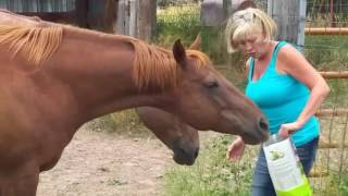 Chadron, NE - Full time van life