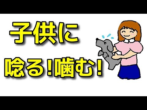 うちの犬が子供を噛みたいのですが、どうすればいいでしょうか?