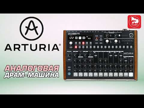 Обзор драм-машины Arturia DrumBrute