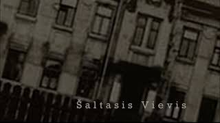Šaltasis Vievis 2 - Kopijos kopijos kopija