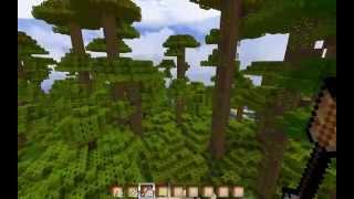 preview picture of video 'Journey through a Minecraft jungle'