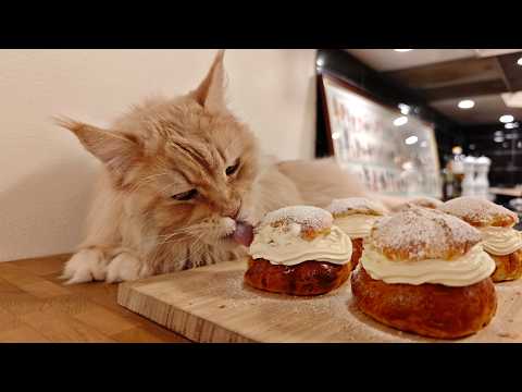 Baking Semlor With Buster!