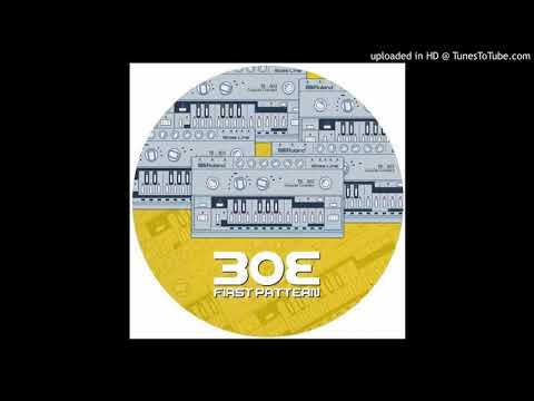 Unknown Artist - The Day Of The 303 [ZC303001]