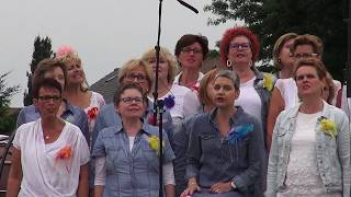 Molenpark concert 15 juli 2017