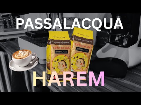 HARDCORE Kaffee aus Italien - Passalacqua Harem