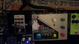 Video thumbnail for Deluxe Memory Man - Nano vs Big Box quick comparison by The Gear Dad
