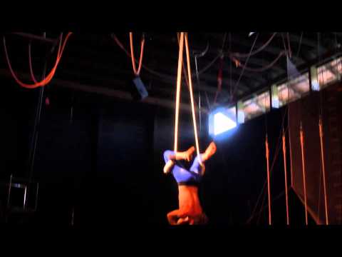 CIRCUS MONKEYS - SINGLE POINT