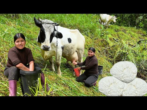 De esta manera realizamos el QUESILLO tradicional en el CAMPO - NATHALIA