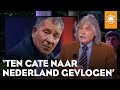 'Henk ten Cate vandaag halsoverkop naar Nederland gevlogen' | DE ORANJEZOMER
