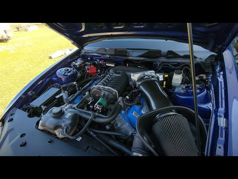 2014 GT500 2650 Eaton TVS Blower dyno test.