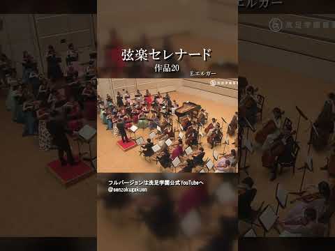 弦楽セレナード ホ短調 作品20