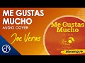 Me GUSTAS Mucho 🎻 - Joe Veras  I Juan Gabriel Un Homenaje [Audio]