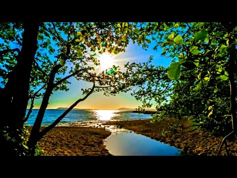 download lagu mp3 mp4 игорь крутой без слов скачать, download lagu игорь крутой без слов скачать gratis, unduh video klip игорь крутой без слов скачать