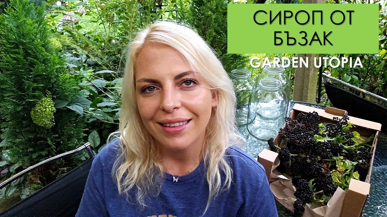 Домашно ЛЕКАРСТВО? Как да си направим СИРОП от БЪЗАК