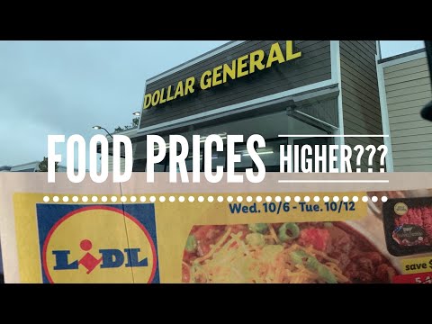 NJ Food Prices/Dollar General & Lidl Grocery Haul/Day...