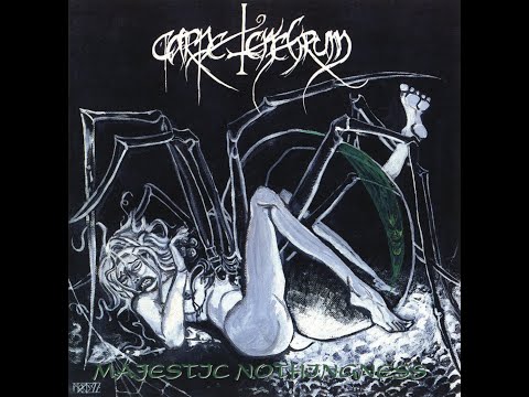 Perpetual Dancer video thumbnail