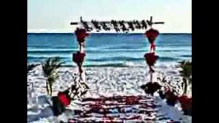 Elvis Presley-Hawaiian Wedding Song+lyrics