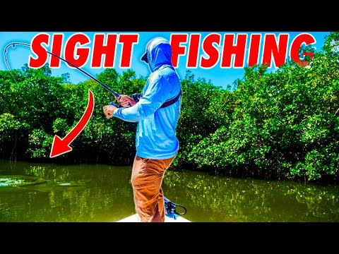 Sight Casting Fish Hidden Deep in the Florida Mangroves