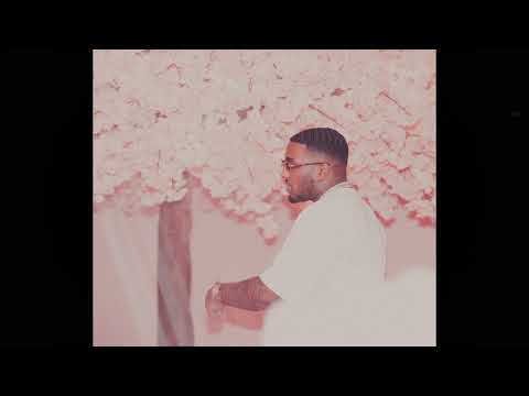 (FREE) reezy x faroon type beat - checks