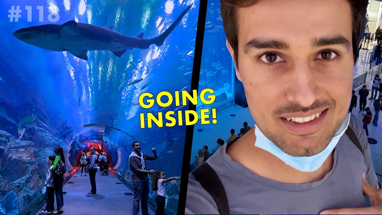 Join a duo on exploration of Dubai Aquarium & Underwater Zoo.