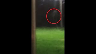 Man spots ‘ghost’ or ‘dogman’ sprint across garden in Bradenton, Florida