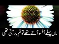 Missing You Mother Video Status WhatsApp Maa Poetry Lines Urdu Hindi Heart Touching Death Quotes